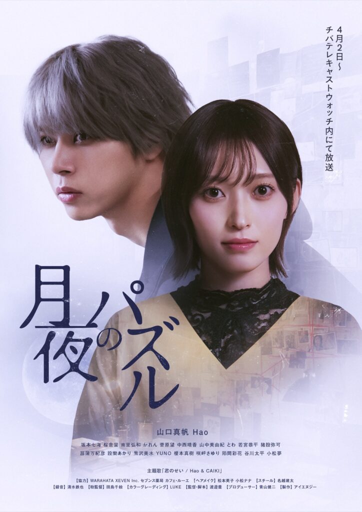 TVドラマ「月夜のパズル」ポスタービジュアル